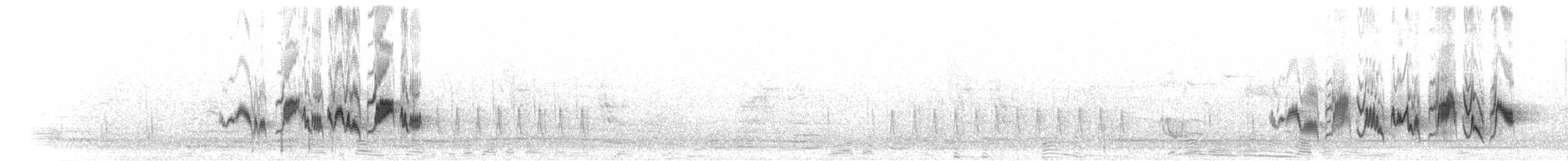 Habeş Kuyrukkakanı - ML280216