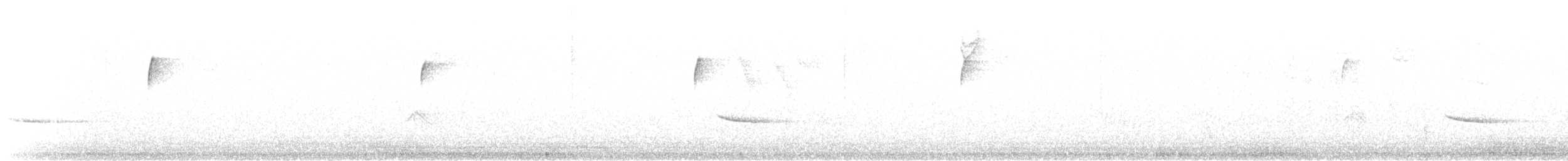 キビタイシメ（第3型） - ML280219651