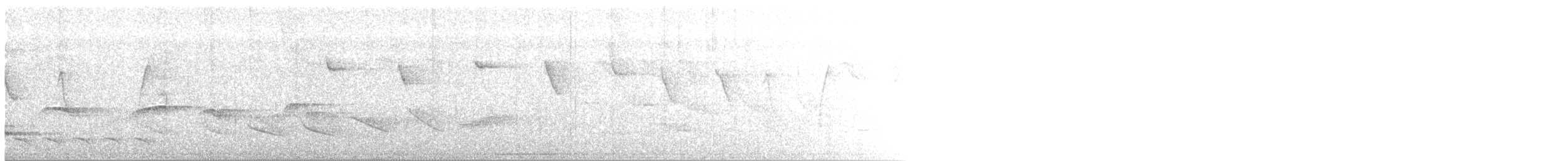 Schwarzbrusttyrann - ML280221991