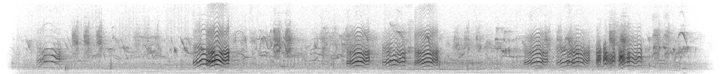 Weißstirnspint - ML280222