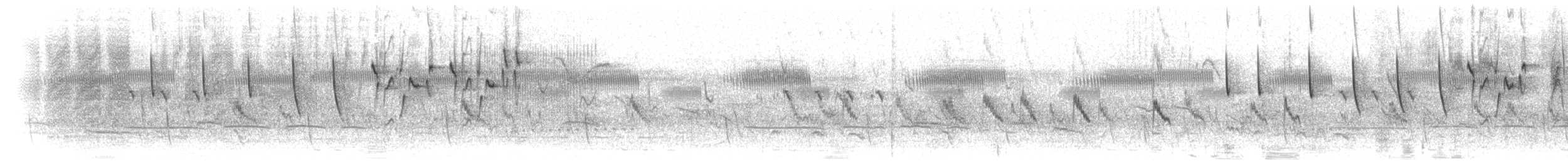 Чернобрюхая нектарница - ML280297