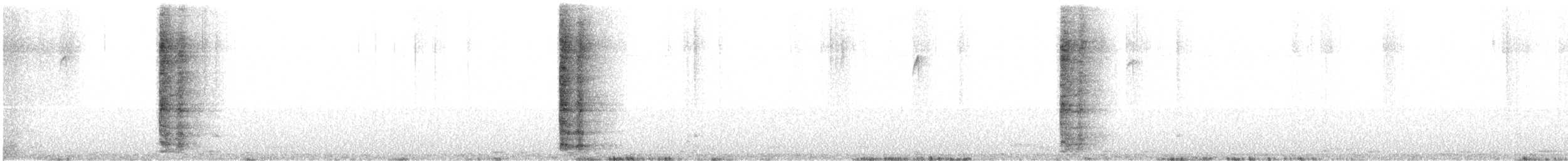 Ring-necked Pheasant - ML280324081
