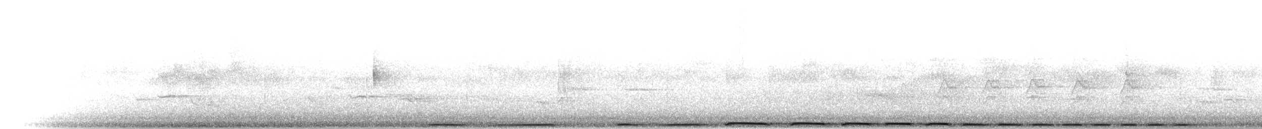 holub slézovoprsý - ML280334