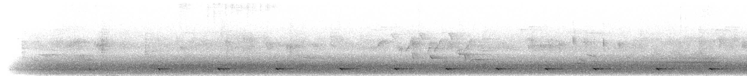 Olivbartvogel - ML280341