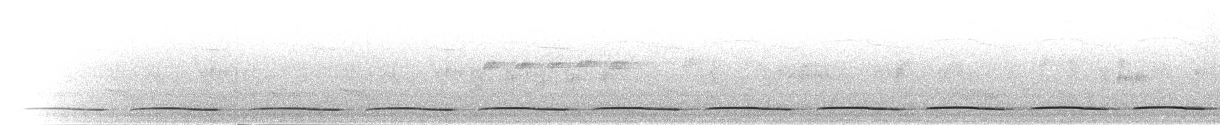 シマオナガカッコウ（patulus） - ML280343
