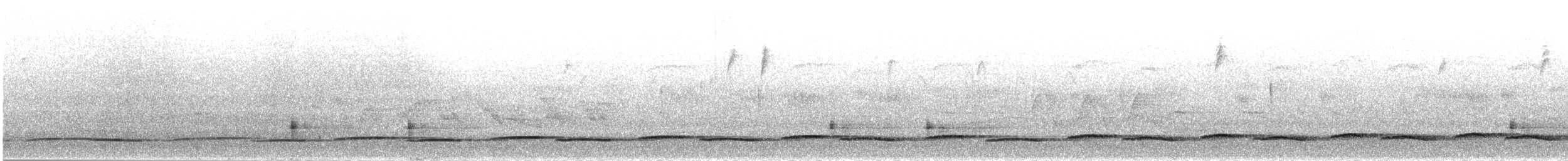 Barred Long-tailed Cuckoo (Eastern) - ML280344