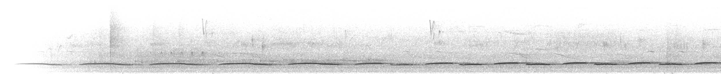 Зозуля-довгохвіст гірська (підвид patulus) - ML280352