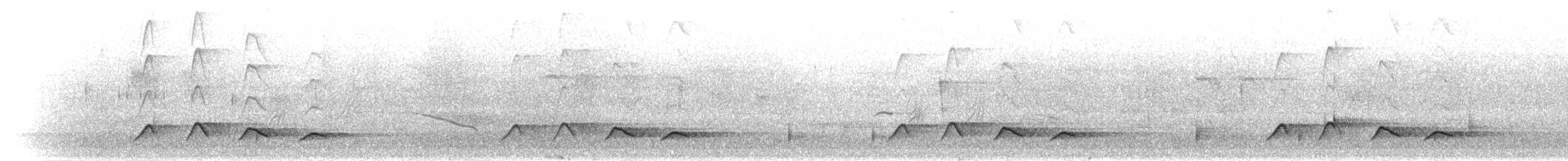 Dağ Uzun Kuyruklu Guguğu (patulus) - ML280353