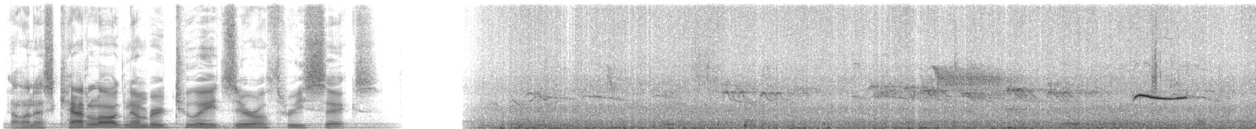 Say's Phoebe - ML28036