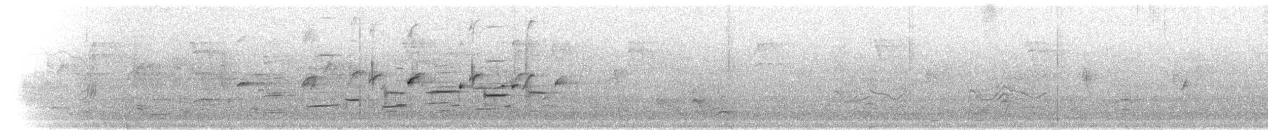 Шпак-куцохвіст рудочеревий - ML280369