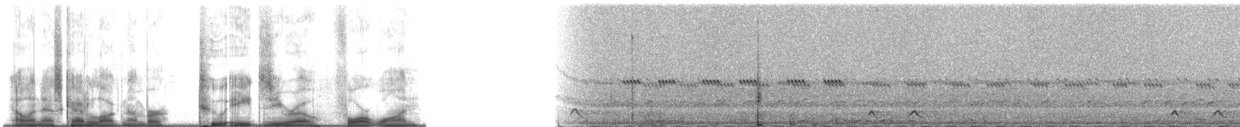 Freckled Nightjar - ML28041
