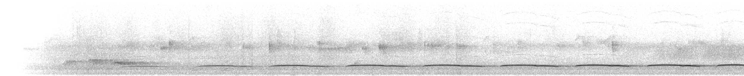 berghalegjøk (patulus) - ML280440