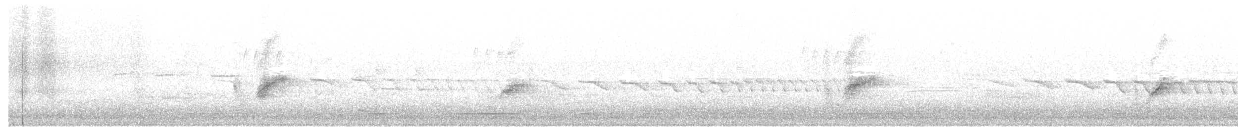 pipilo rudooký (ssp. erythrophthalmus/canaster) - ML28044061