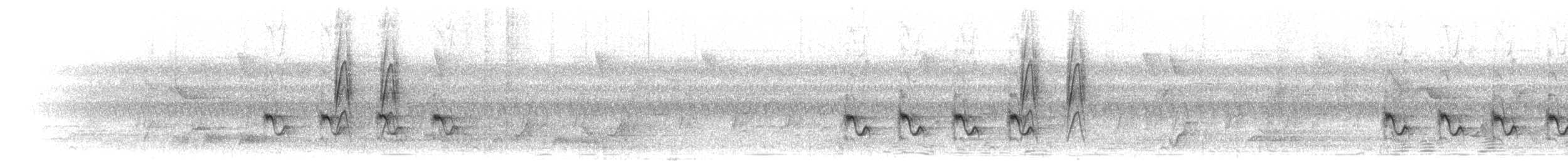 Uzun Gagalı Afrika Terzikuşu - ML280469