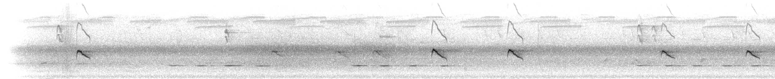 Glanzelsterchen (nigriceps/woltersi) - ML280493