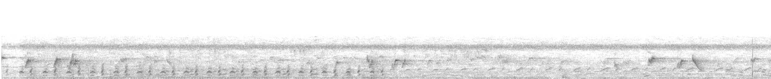 Northern Red-billed Hornbill - ML280505901