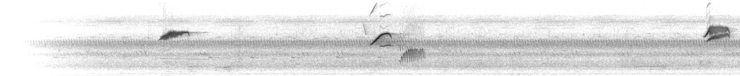 Güneyli Drongo Sinekkapanı - ML280507