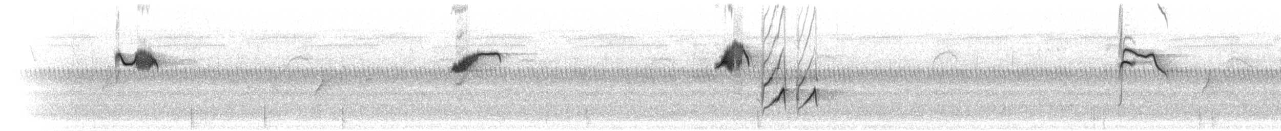 Güneyli Drongo Sinekkapanı - ML280508