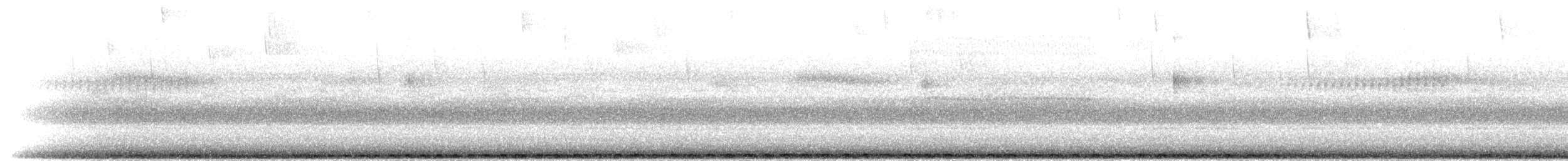småhubro (vosseleri) - ML280514
