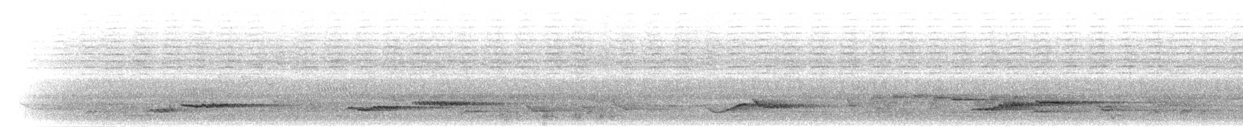 Cossyphe à poitrine blanche - ML280516
