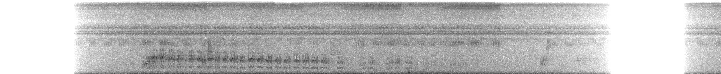 緋秧雞 - ML280523081