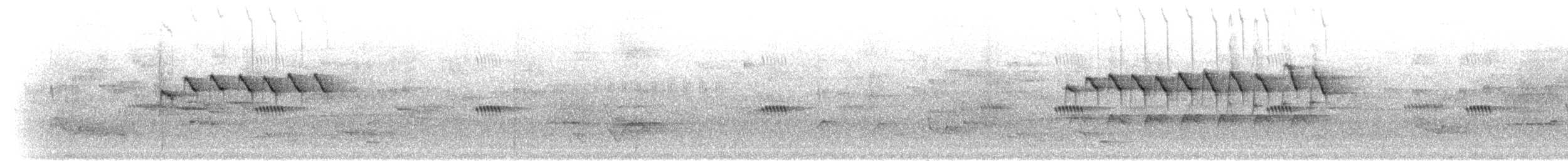 Синегорлая нектарница - ML280540