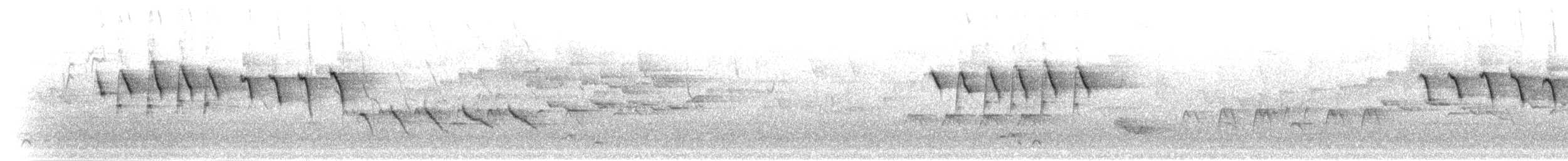 Синегорлая нектарница - ML280541