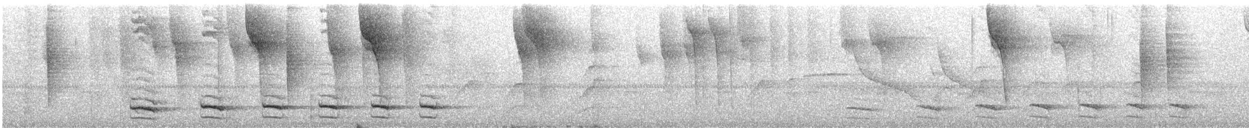 Uniform Antshrike - ML280554711