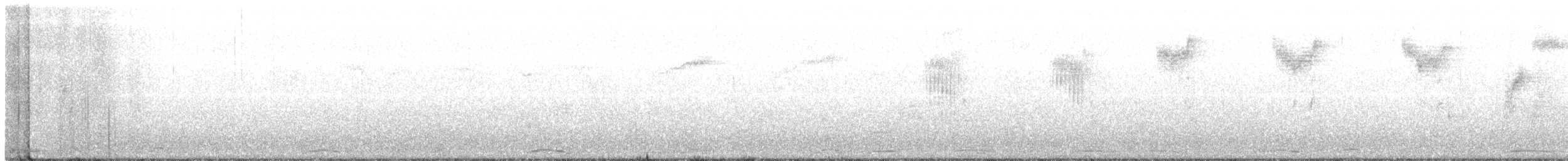 コハクチョウ - ML280580281