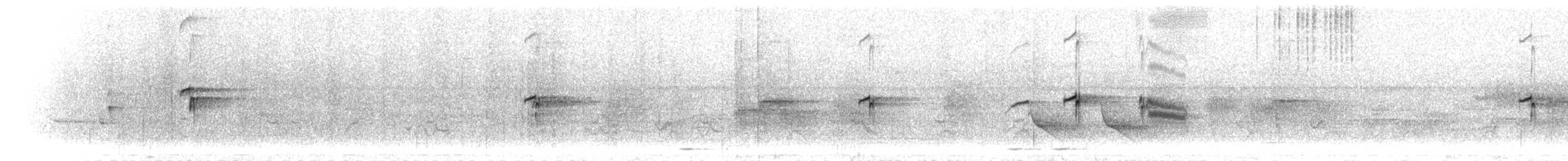 Ошейниковая щурка - ML280613