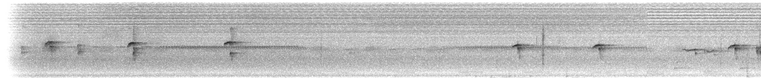 Ошейниковая щурка - ML280635