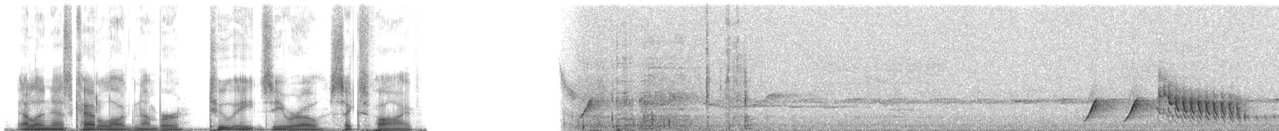 Гонолек східний (підвид fuelleborni) - ML28065