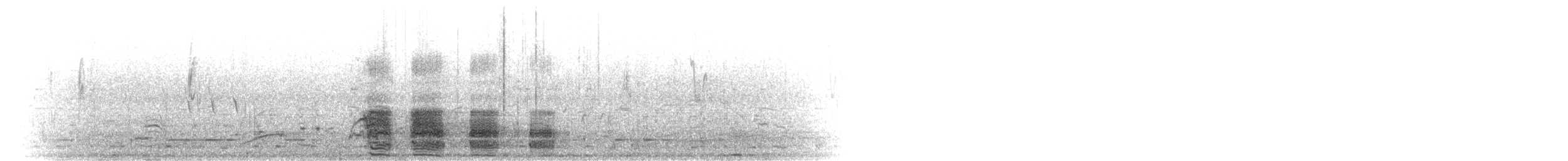 Красноклювая шилохвость - ML280651