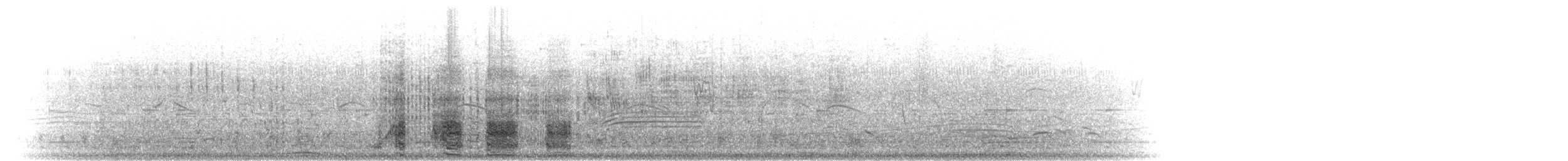 ostralka rudozobá - ML280653