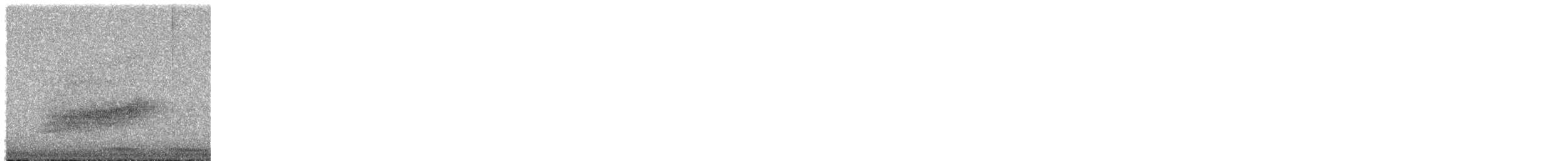 Long-tailed Koel - ML280703201