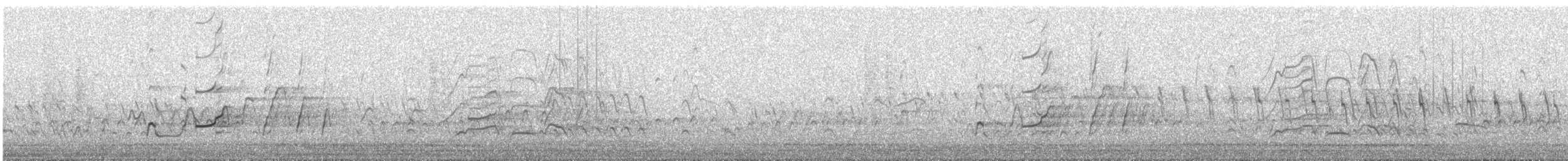 Kara Karınlı Islıkçı Ördek - ML280731131