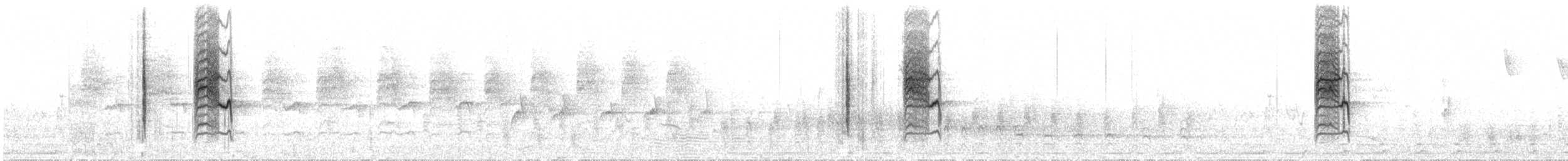 Ошейниковая нектарница - ML28073711