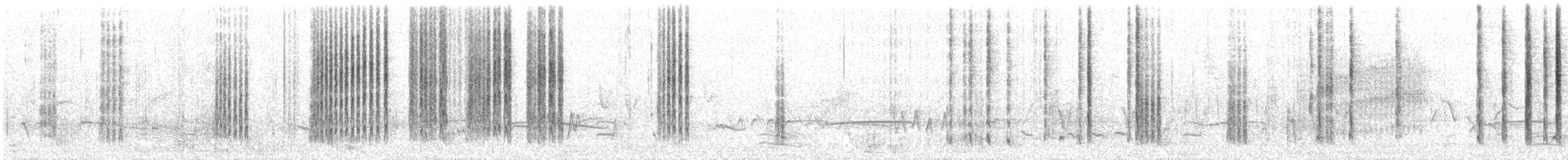 Prinia Ventripálida - ML28075061