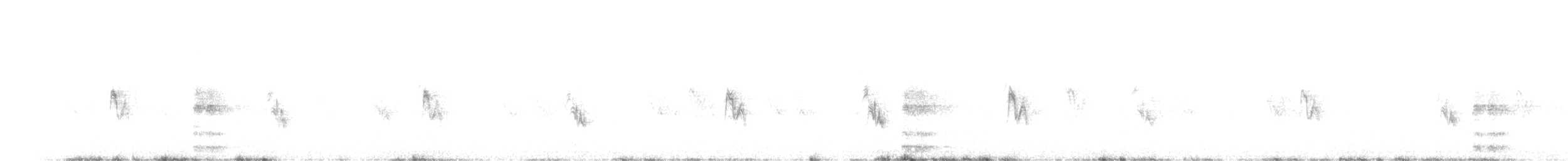 Ring-necked Pheasant - ML280776051