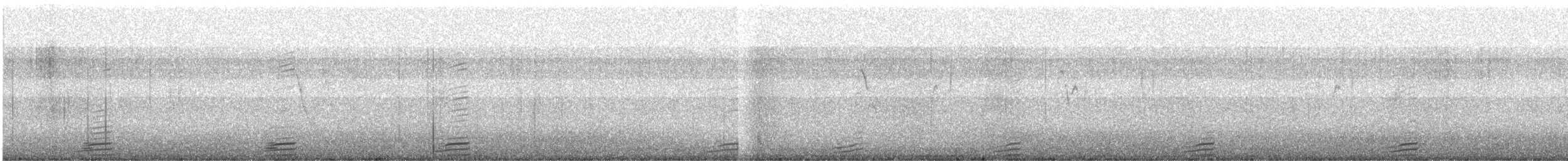 アカツクシガモ - ML280800691