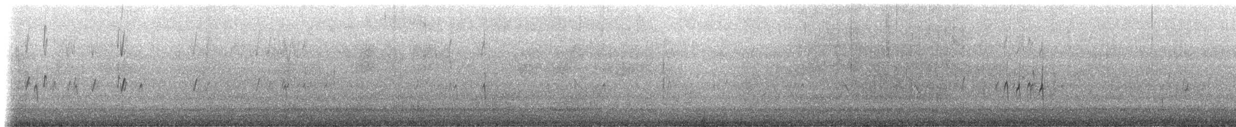"Шишкар ялиновий (Northeastern, або тип 12)" - ML280804171