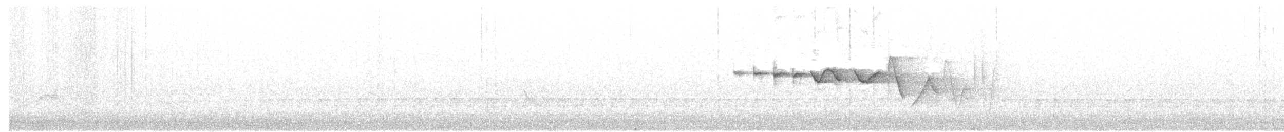 Трясогузковый певун - ML28081111