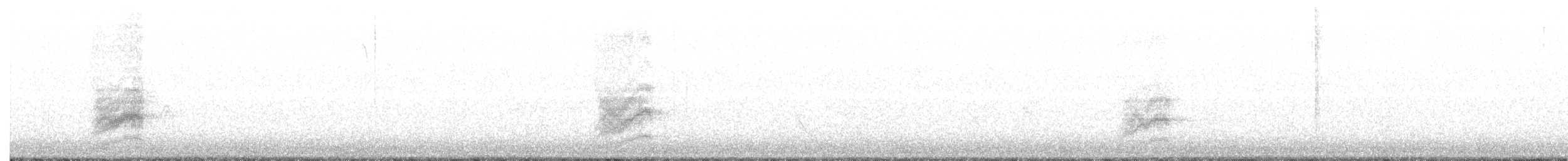 Тауї плямистий - ML280833861