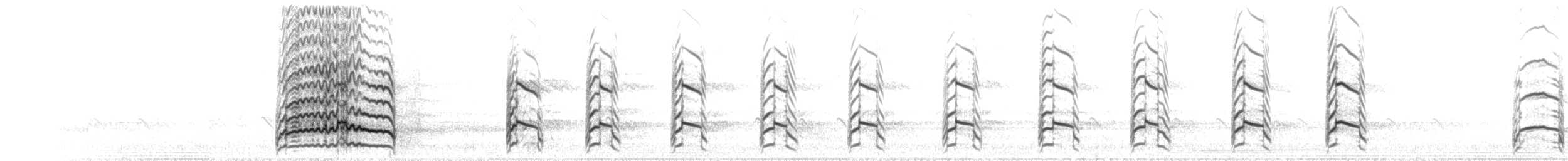 kortnebbmåke - ML280841231