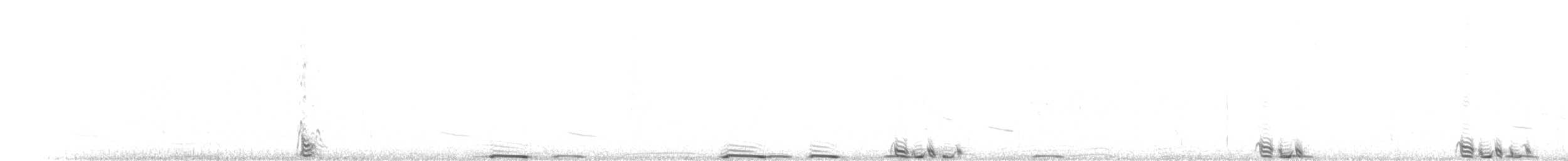 Gallo de las Praderas Rabudo - ML280847851