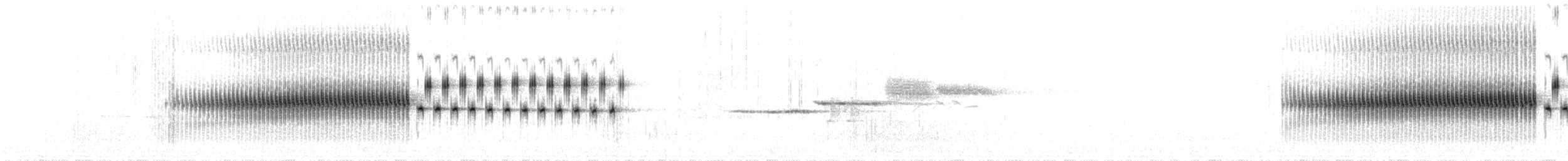 Карнатка лучна (підвид taverneri) - ML28085721
