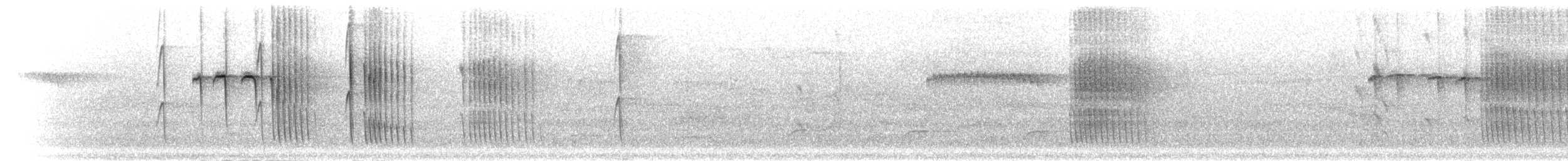 Uzun Kuyruklu Sibya - ML280899