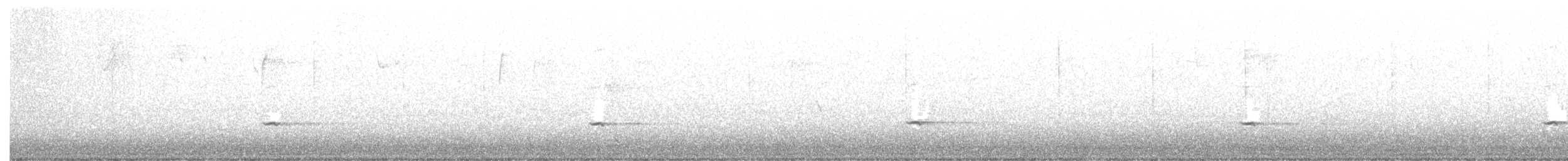 gråsolitærtrost - ML280932091