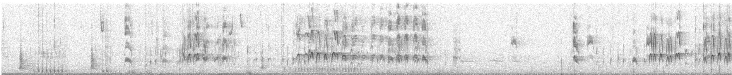 Red-cockaded Woodpecker - ML280947781