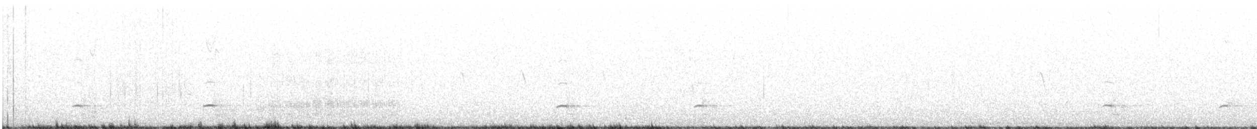 White-tailed Kite - ML280956881